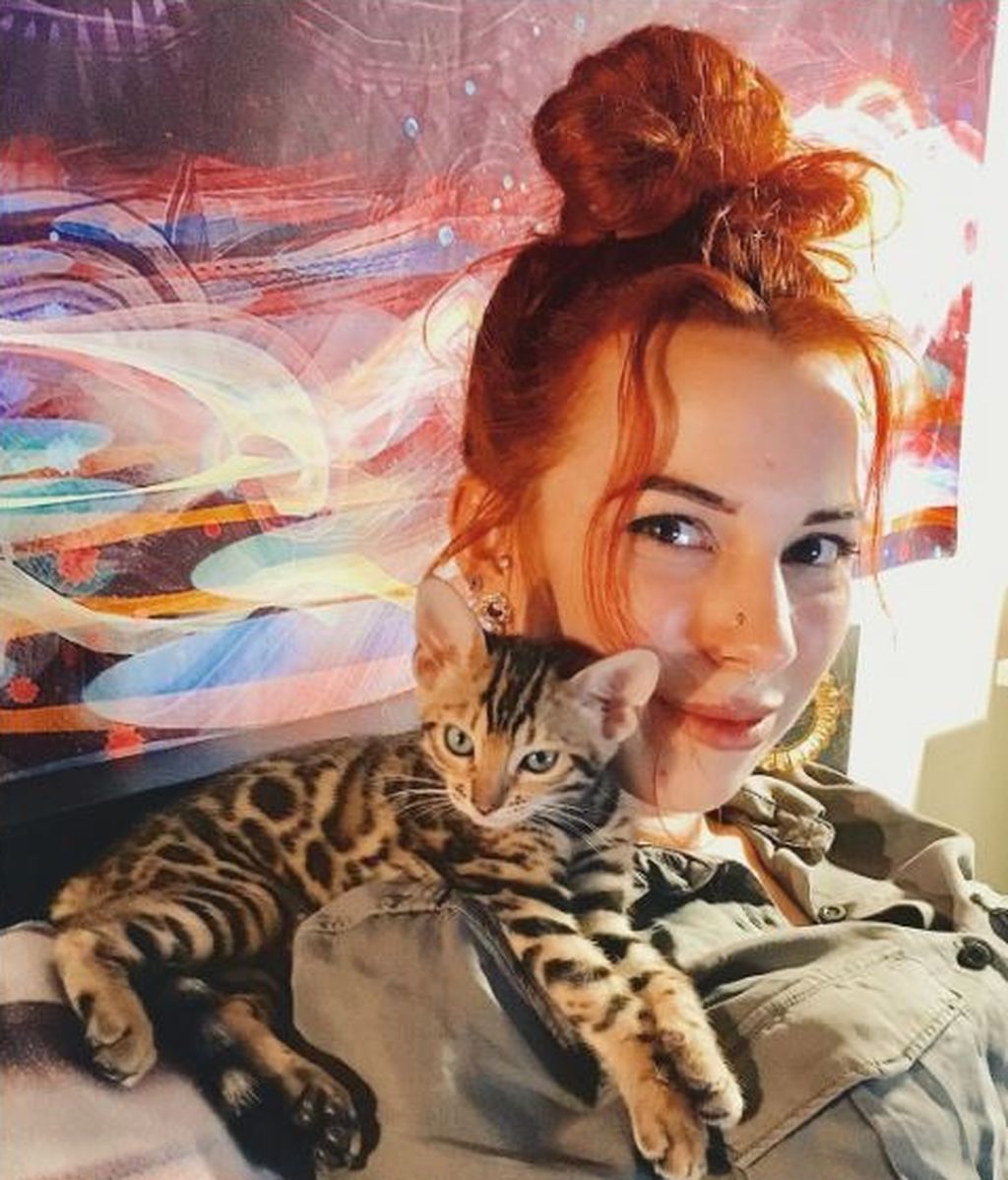 Suki, el gato aventurero que se ha recorrido Canadá