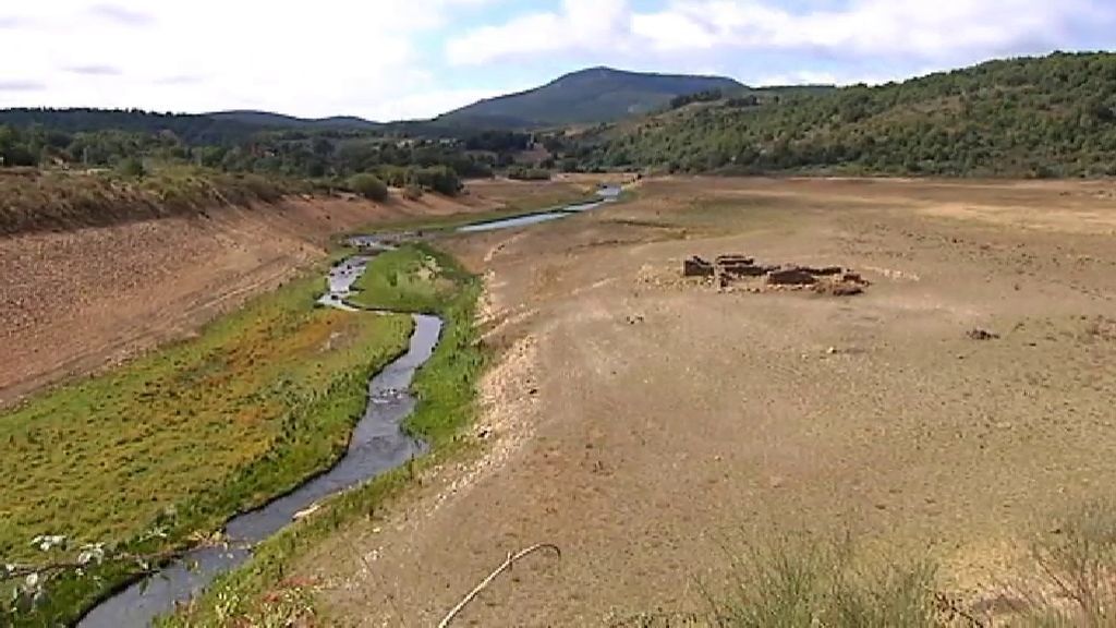 La sequía amenaza la supervivencia de los ganaderos gallegos