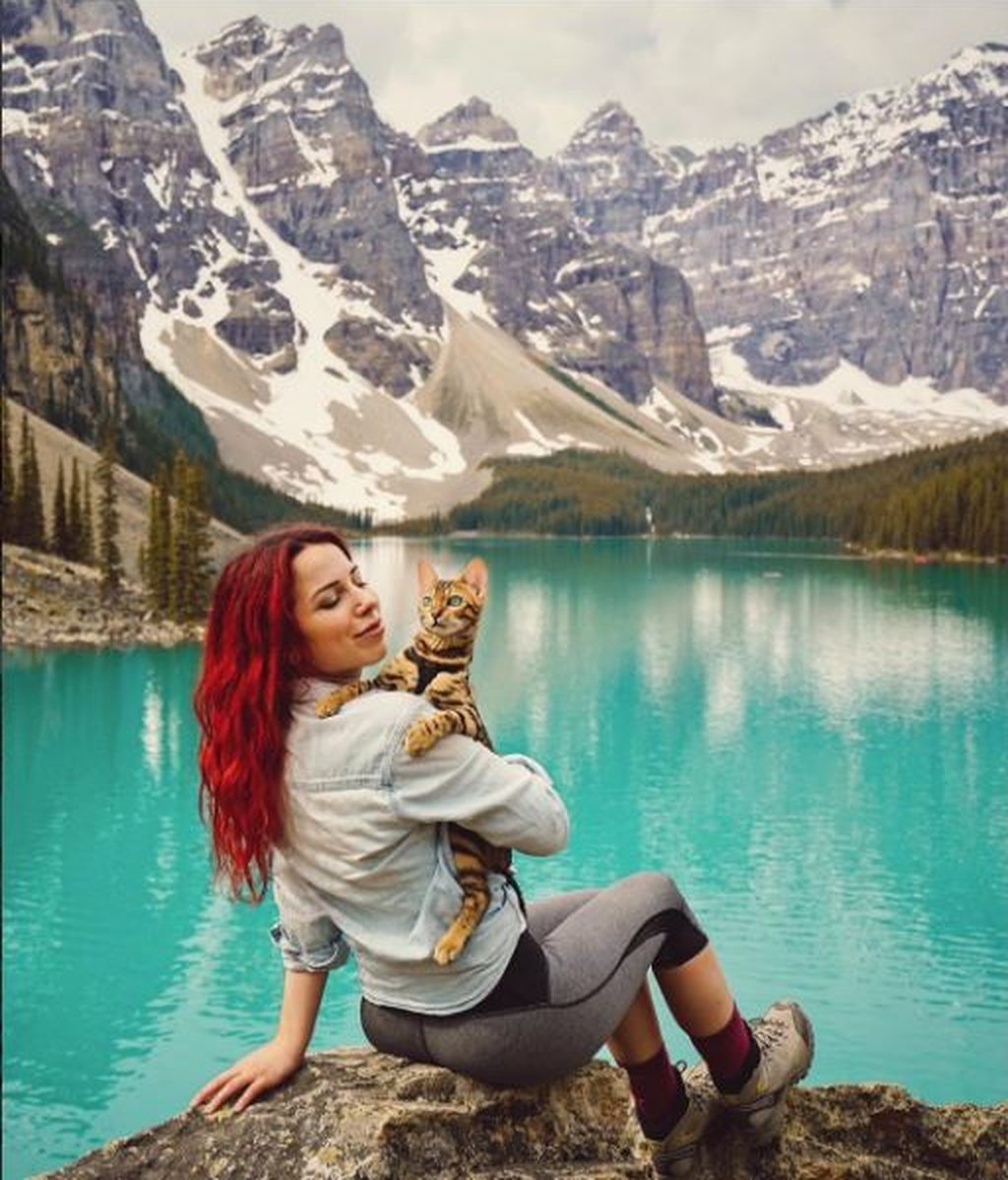 Suki, el gato aventurero que se ha recorrido Canadá