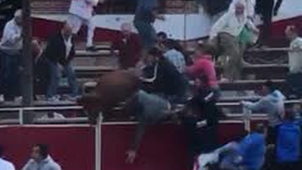 Pánico en Santacara: dos vacas saltan al tendido