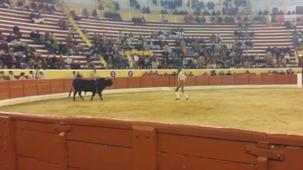 La cornada mortal de un toro a un mozo en Portugal