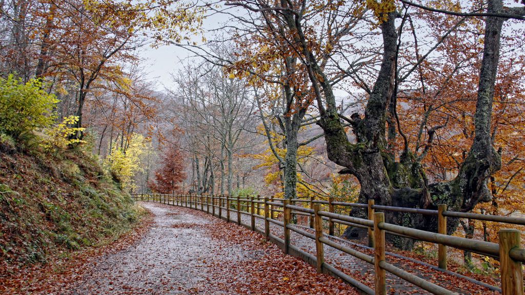 ¿Qué otoño nos espera: frío y lluvioso o cálido y seco?