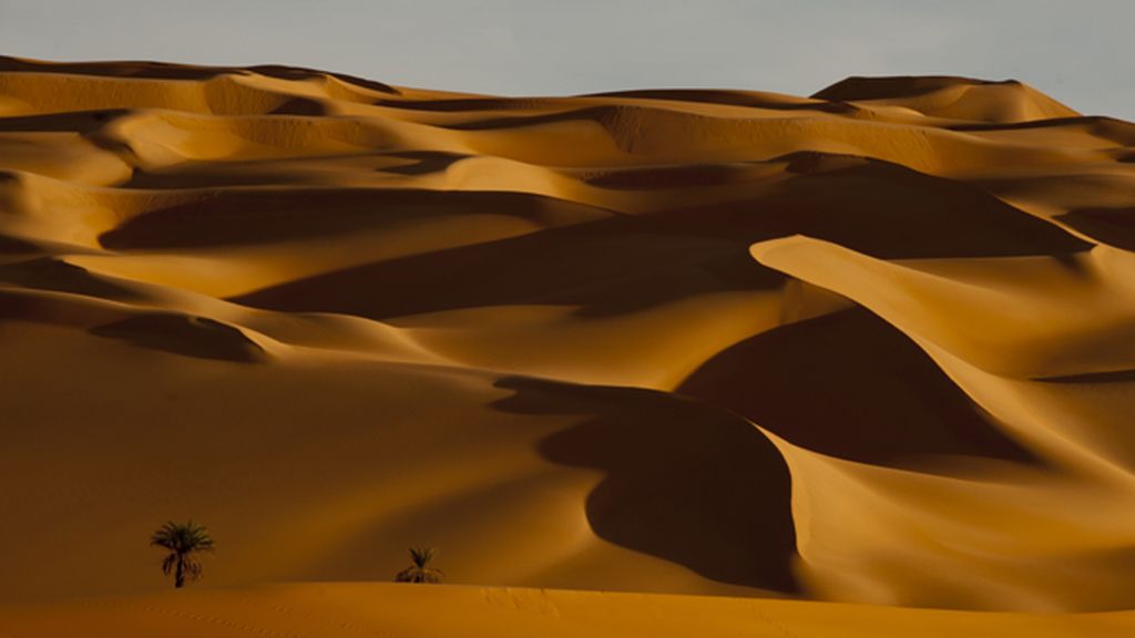 Un viaje por cinco regiones del mismo continente salvaje