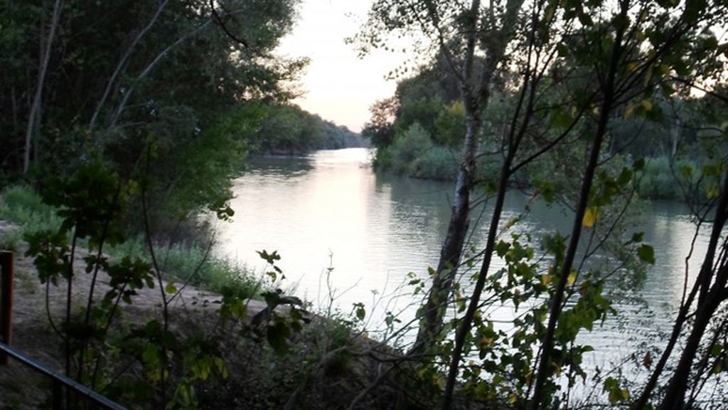 Isabel Porras Hidalgo