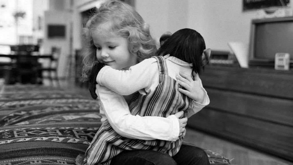 Un chimpancé que habla con los humanos