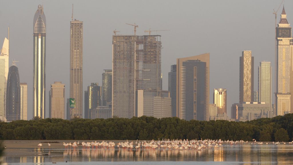 Desde la antigua ciudad de La Meca hasta los paisajes urbanos ultramodernos del Golfo Pérsico