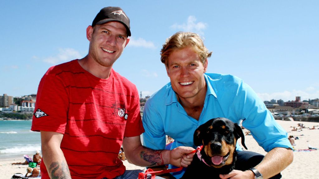 'Veterinario al rescate'