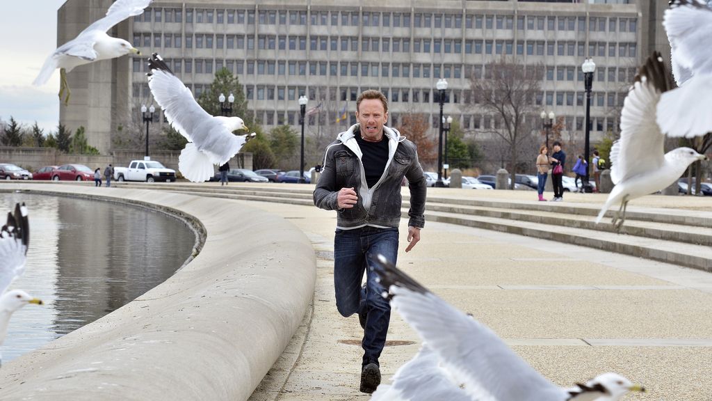 David Hasselhoff y Bo Derek, cameos de lujo del telefilme protagonizado por Ian Ziering y Tara Reid