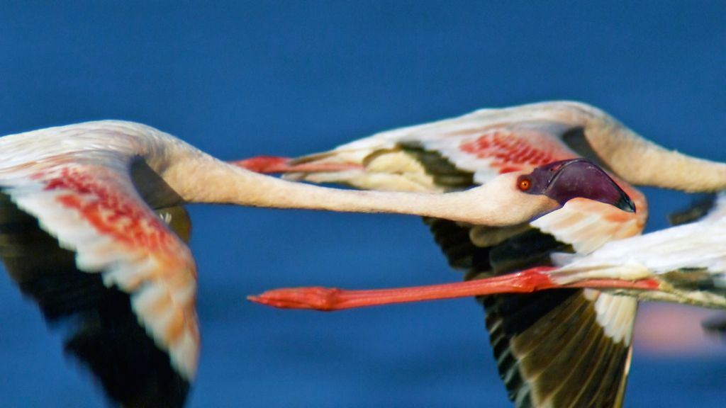 El Planeta, a vista de pájaro
