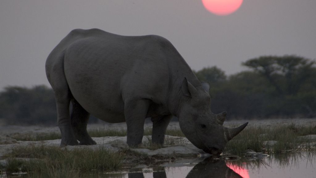 Un viaje por cinco regiones del mismo continente salvaje