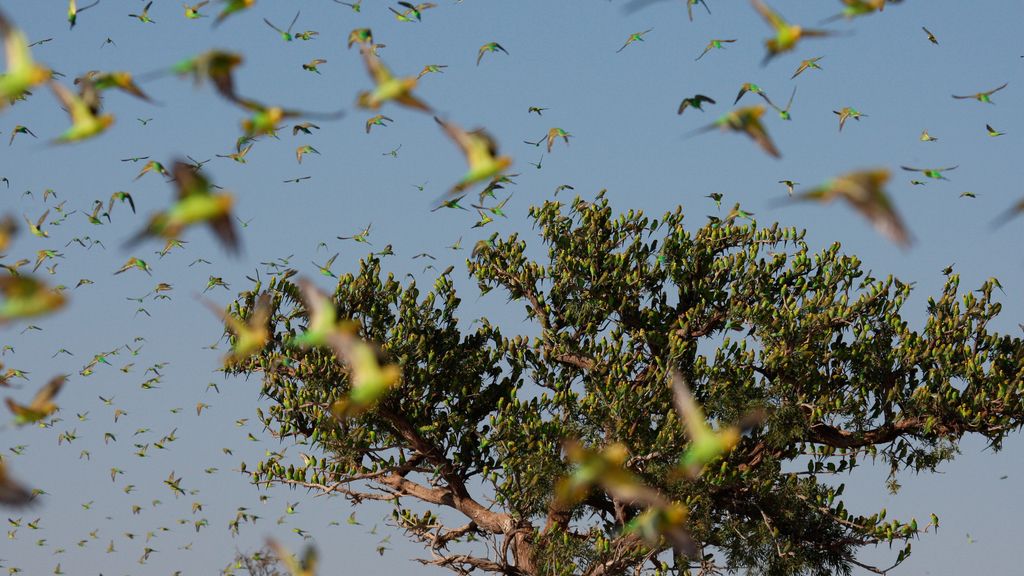 El Planeta, a vista de pájaro