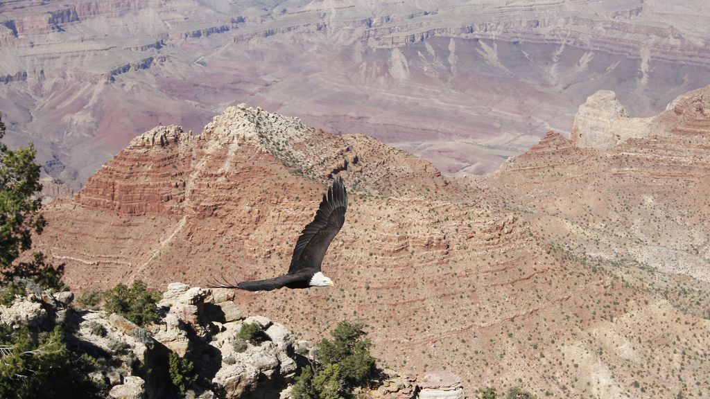 El Planeta, a vista de pájaro