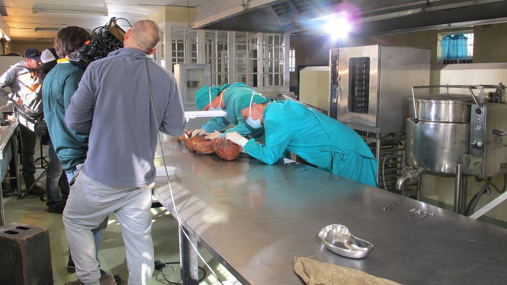 'Expediente no resuelto', domingos a las 22.00