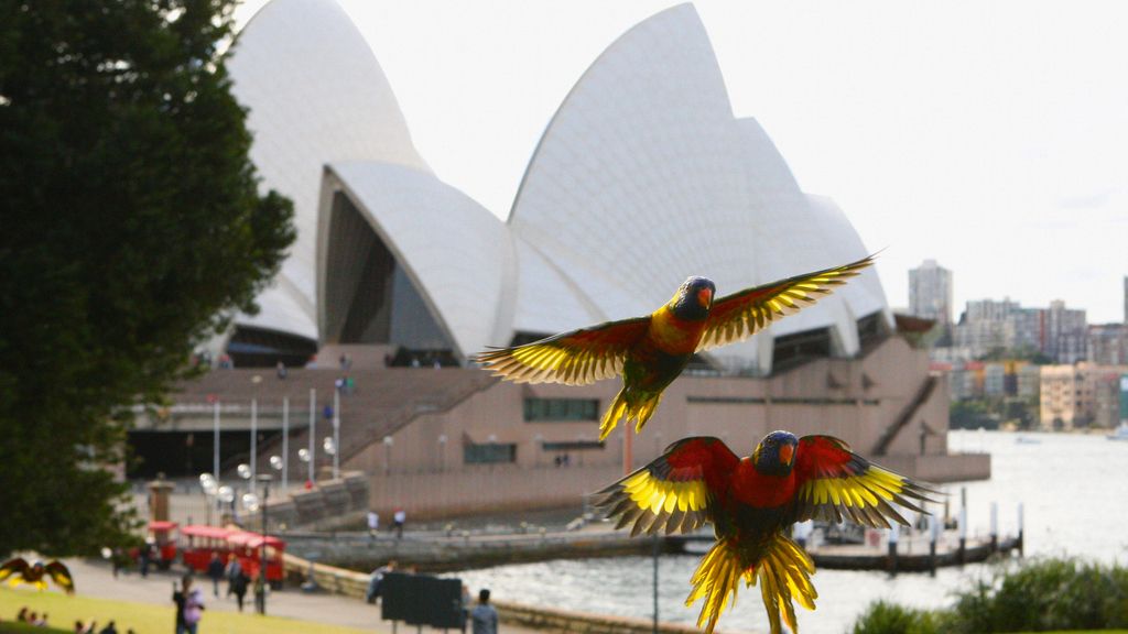 El Planeta, a vista de pájaro