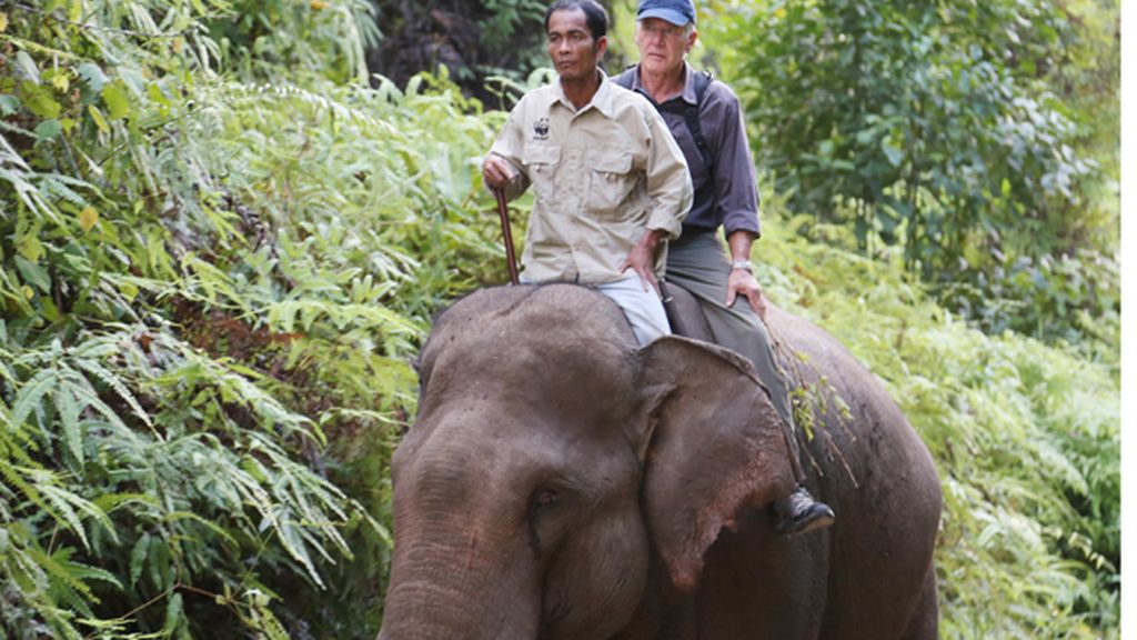 ‘Estación seca’, el 29 de enero a las 23.00