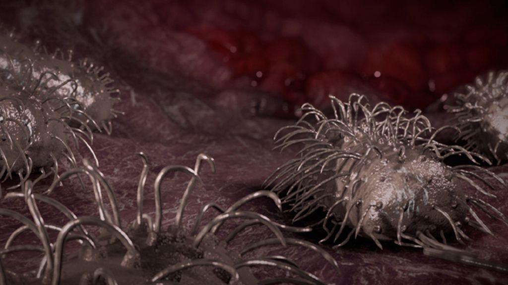 'Epidemia letal' (miércoles, 22.30, desde el 19 de septiembre)