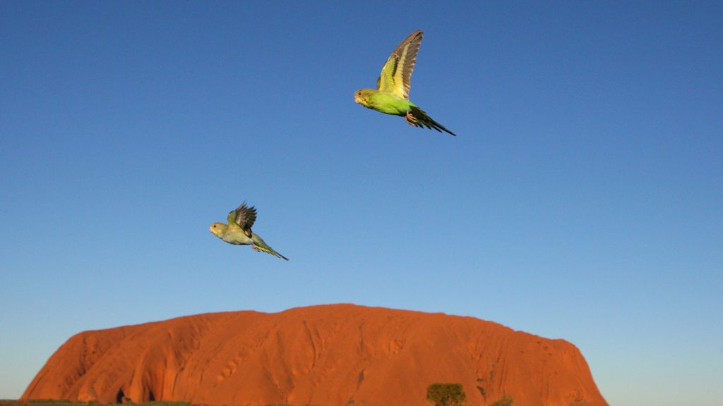 El Planeta, a vista de pájaro