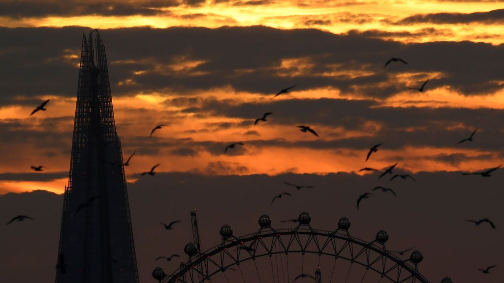Bandada de pájaros en el London Eye