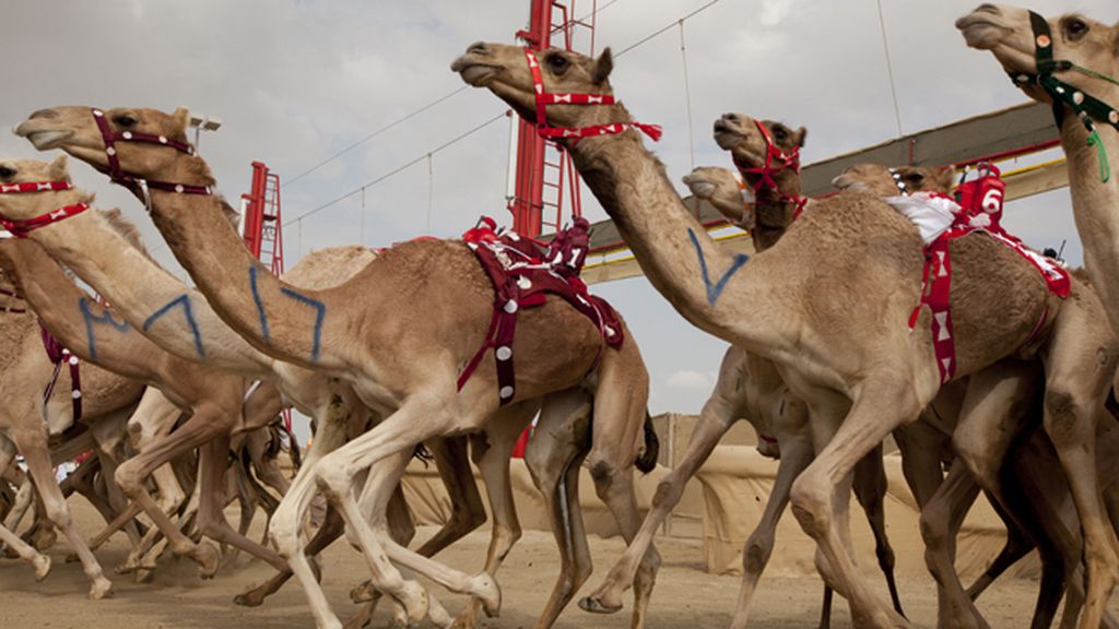 Desde la antigua ciudad de La Meca hasta los paisajes urbanos ultramodernos del Golfo Pérsico