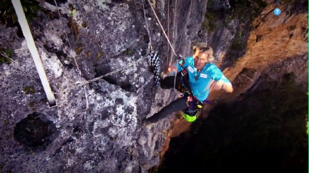 Un programa que “no te mata, te hace más fuerte”