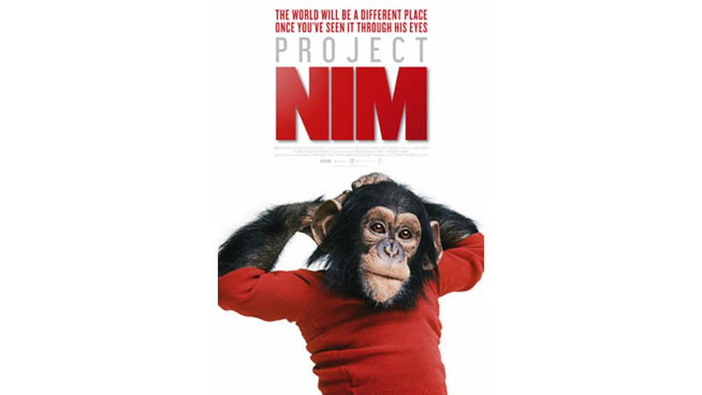 Un chimpancé que habla con los humanos