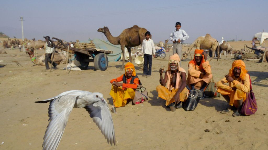 El Planeta, a vista de pájaro