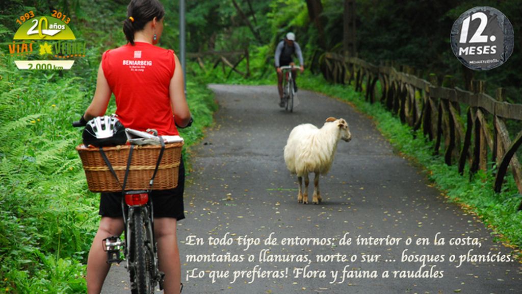 Razones para disfrutar de Vías Verdes. Más de 102 rutas por el territorio español.