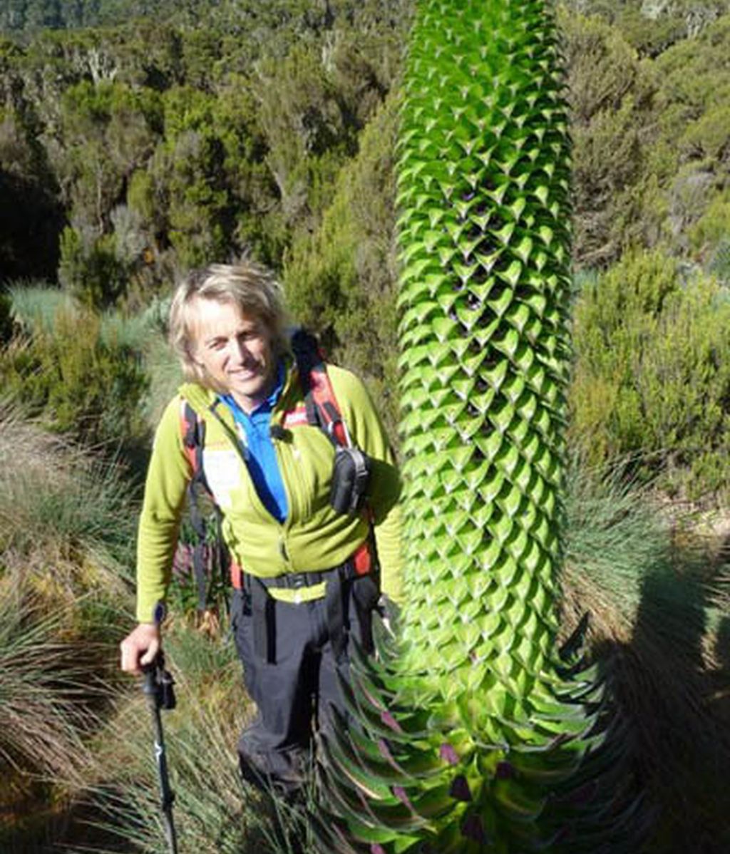 'Desafío extremo 2010' (Cuatro)