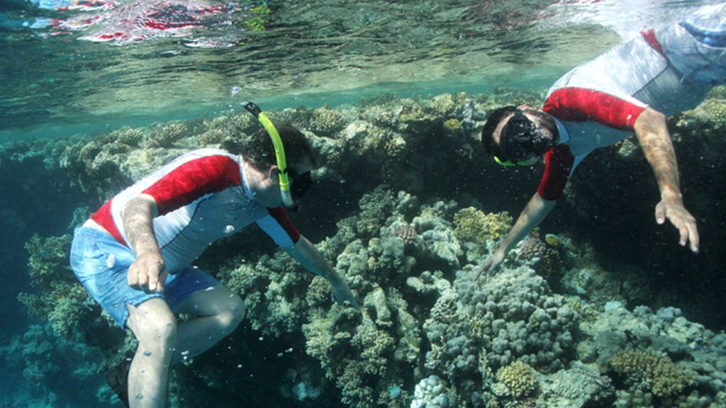 ‘Revolución, reconstrucción, renovación’, el 12 de marzo a las 23.00