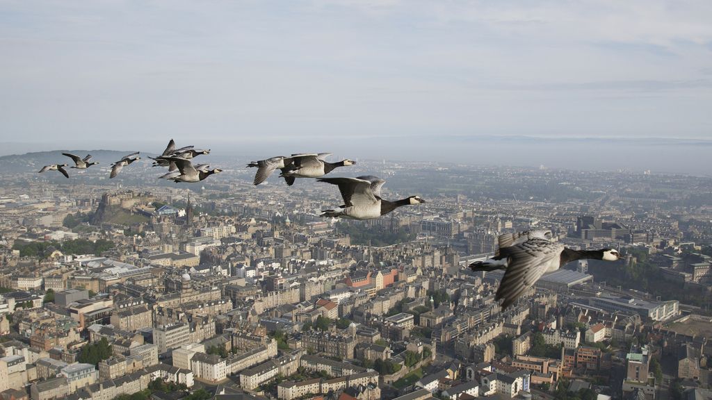El Planeta, a vista de pájaro