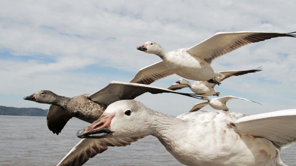El Planeta, a vista de pájaro