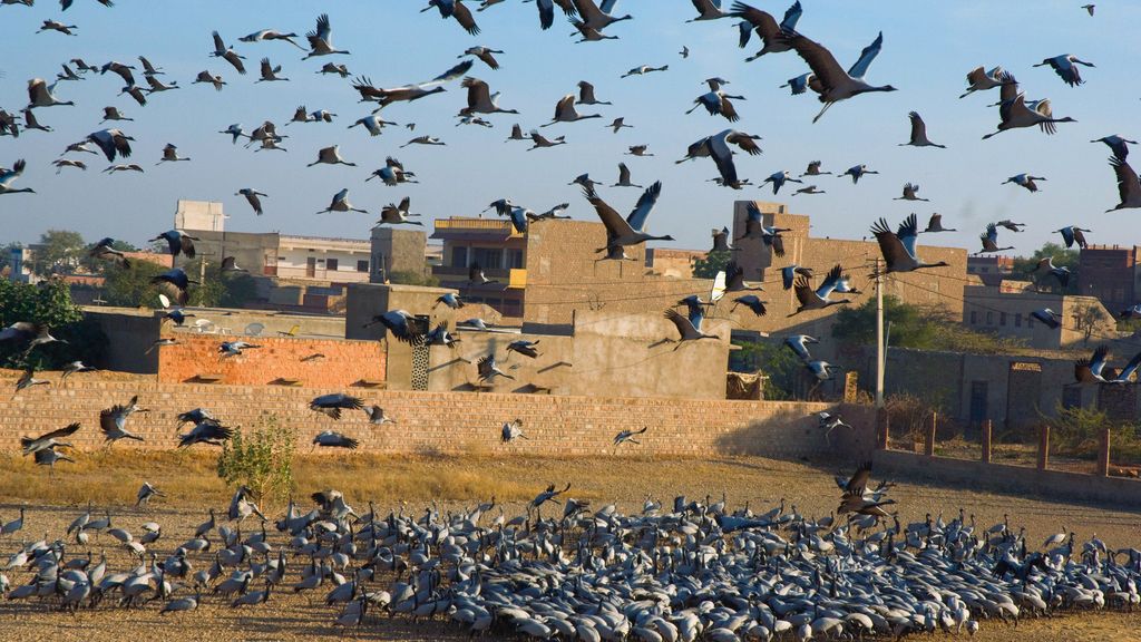 El Planeta, a vista de pájaro