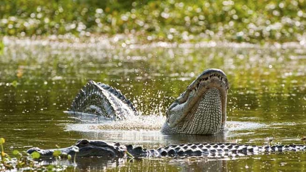Episodio 5: ‘Forajidos y esqueletos’
