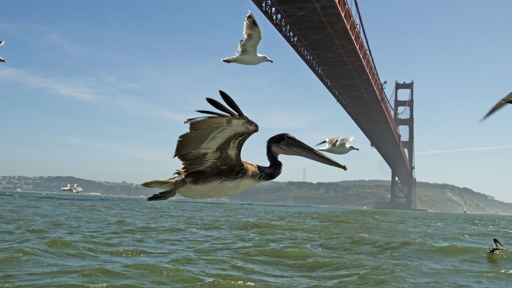 El Planeta, a vista de pájaro