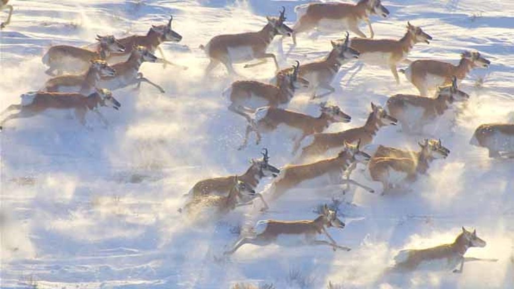 Episodio 2: ‘Sin escapatoria’