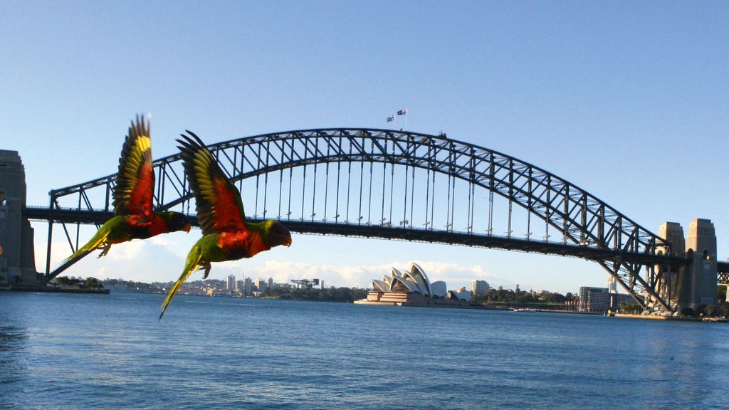 El Planeta, a vista de pájaro