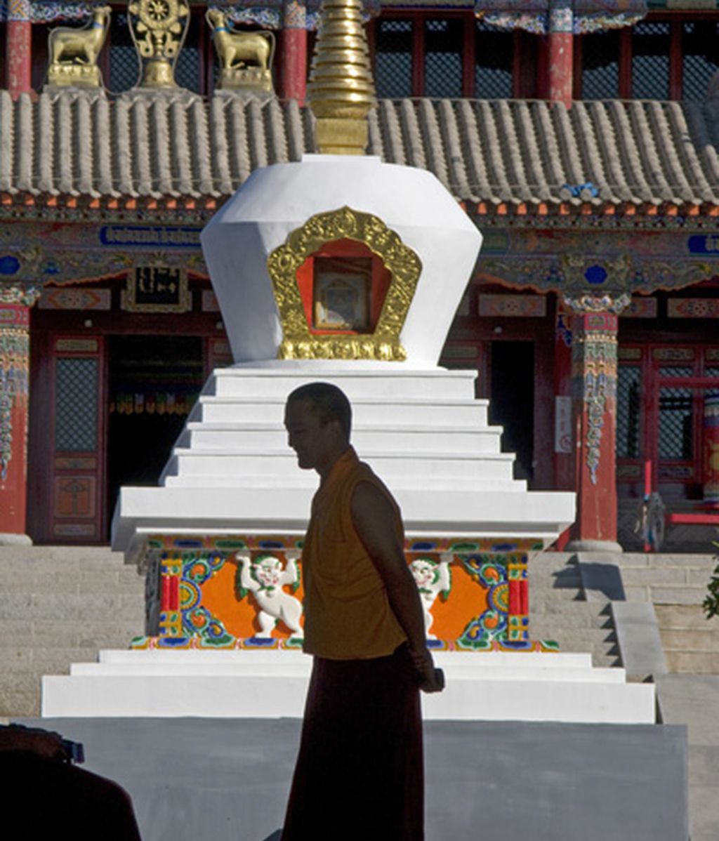 'Caminos paralelos' (Nat Geographic)