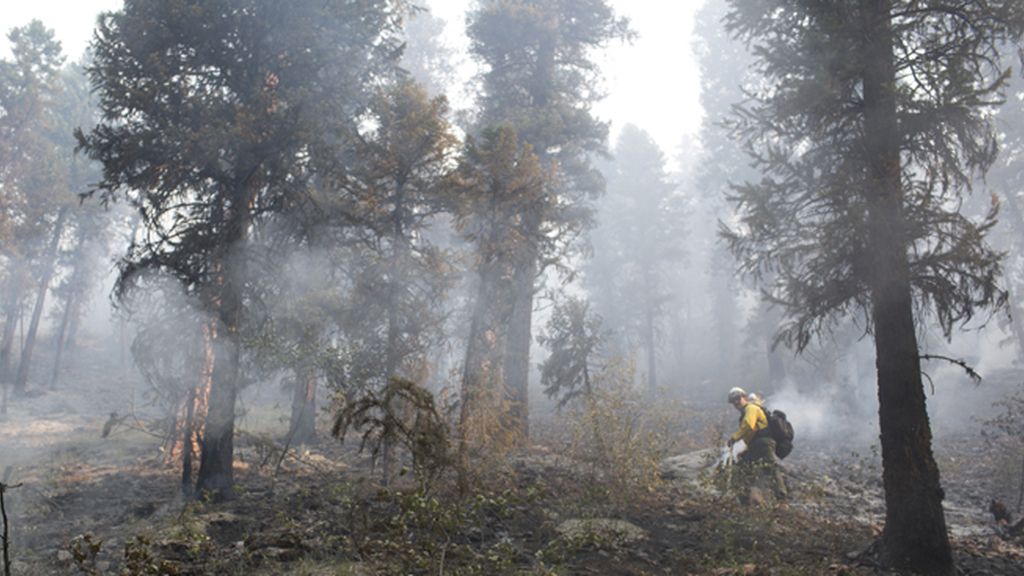 ‘El fin de los bosques’, el 5 de febrero a las 23.00