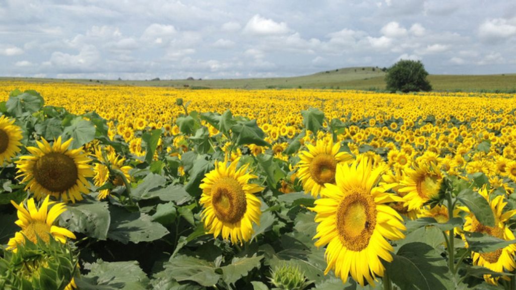 ‘Vientos de cambio’, el 5 de marzo a las 23.00
