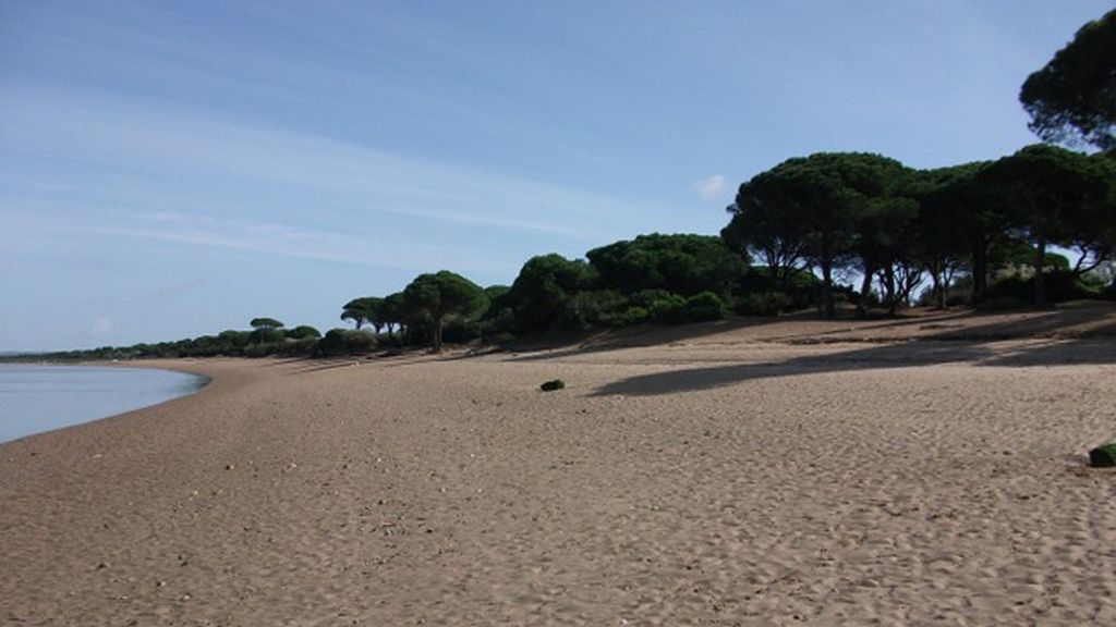 Antonio Vega Cano: Río San Pedro, en Puerto Real (Cádiz).