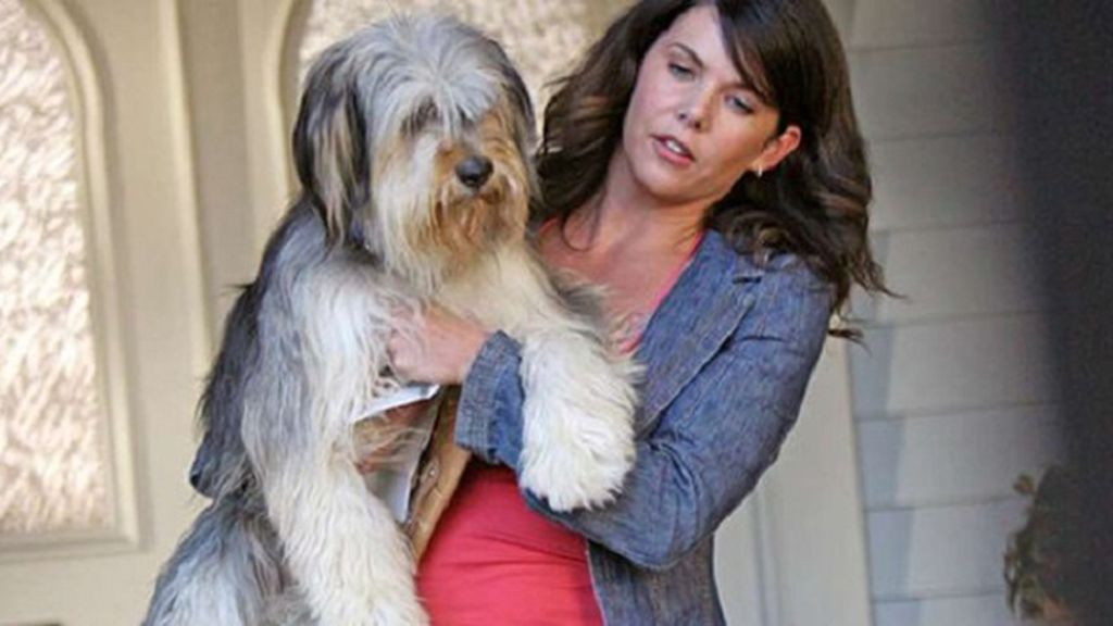 Lauren Graham y Alexis Bledel, de nuevo al frente del reparto una década después