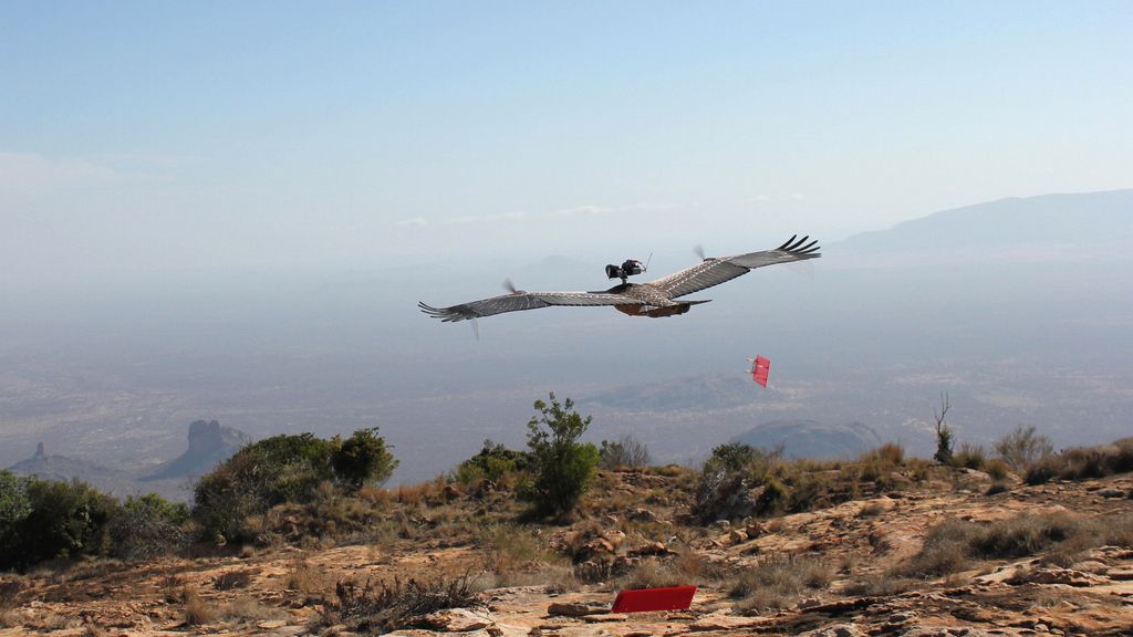 El Planeta, a vista de pájaro