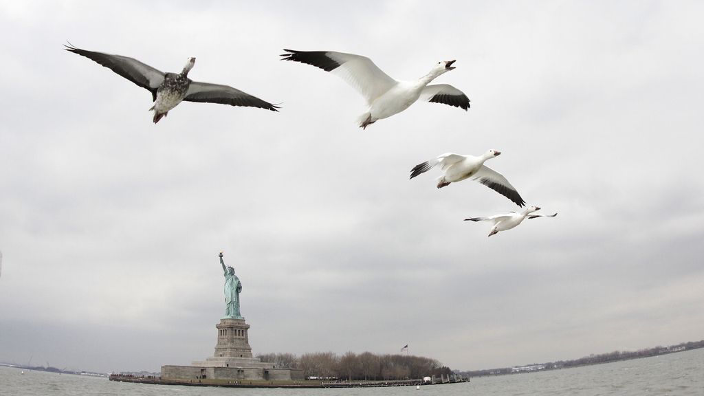 El Planeta, a vista de pájaro