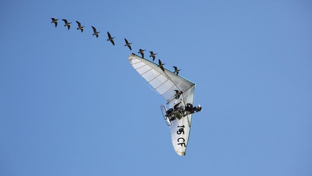 El Planeta, a vista de pájaro