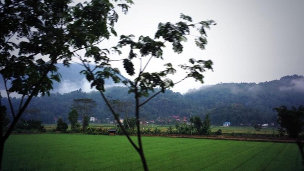 "@nuriaatornay ¡Vamos tirando!"