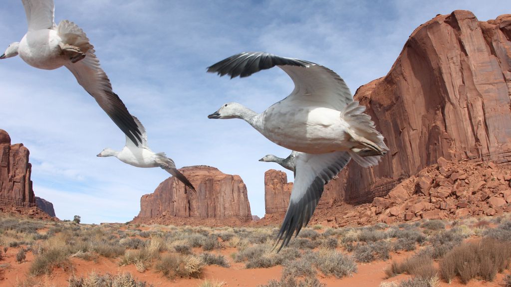 El Planeta, a vista de pájaro