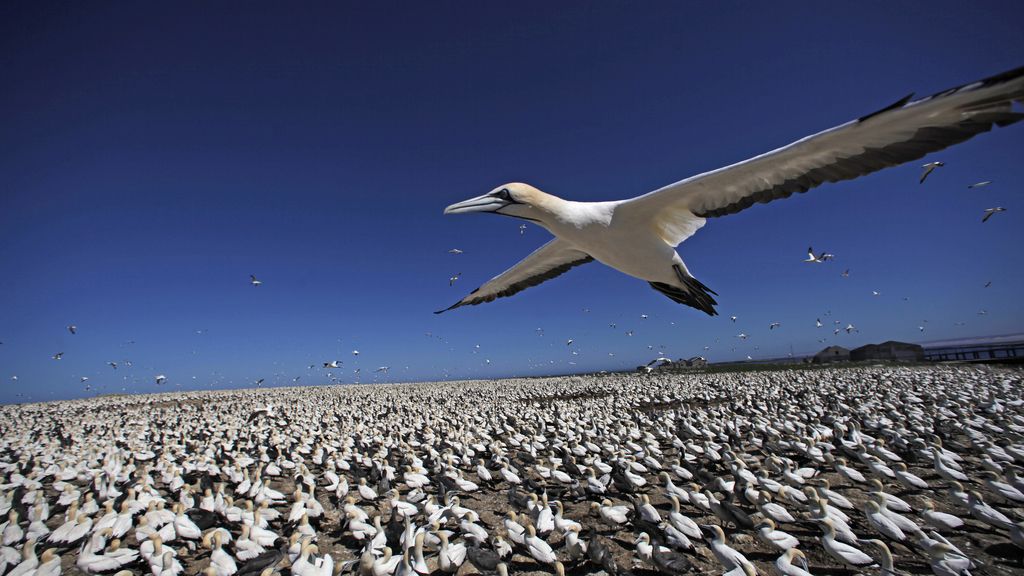 El Planeta, a vista de pájaro