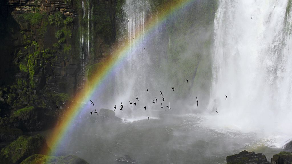 El Planeta, a vista de pájaro