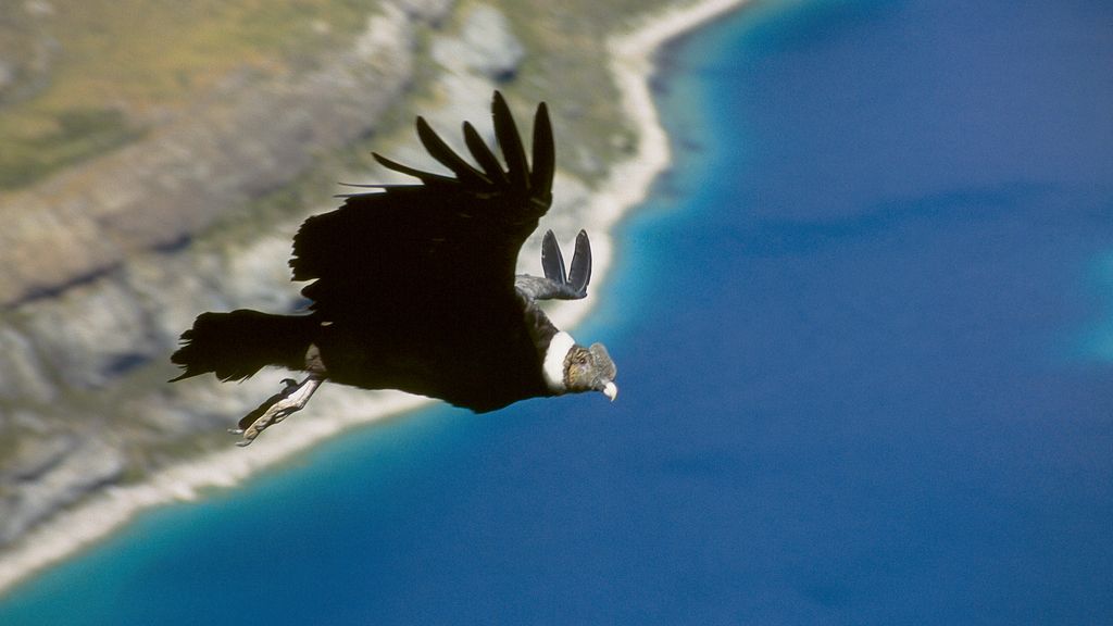 El Planeta, a vista de pájaro