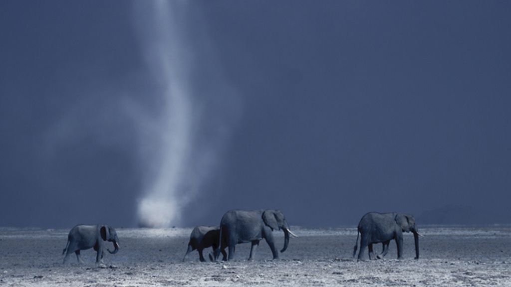 Un viaje por cinco regiones del mismo continente salvaje